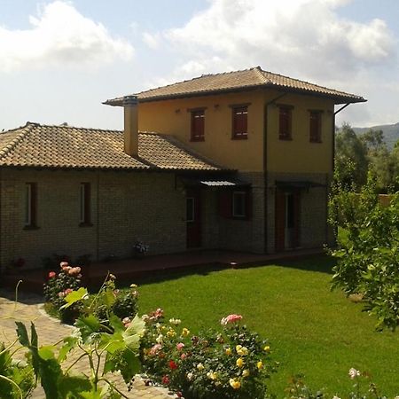 Villa Miltiadis Farm à Lefkáda Extérieur photo
